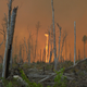 Illustration for article titled Terrifying Images Of Whirling Firenadoes From All Over The World